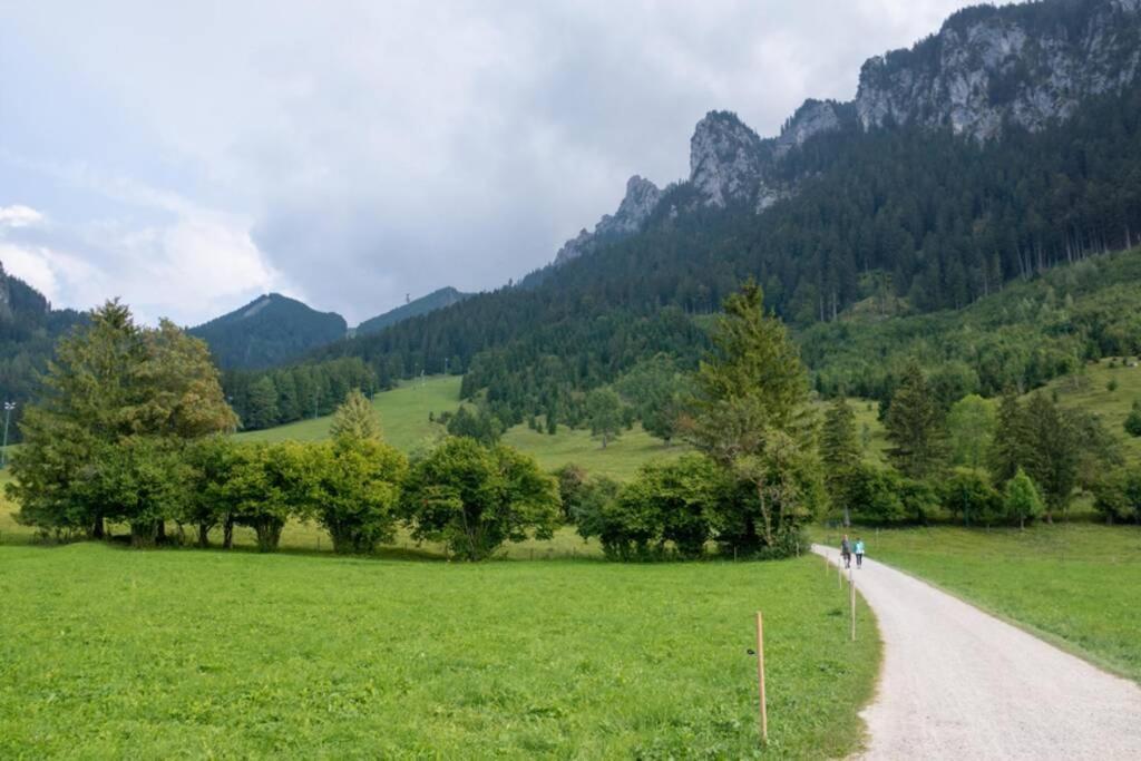 Neuschwanstein-Blick Apartment Fussen Bagian luar foto