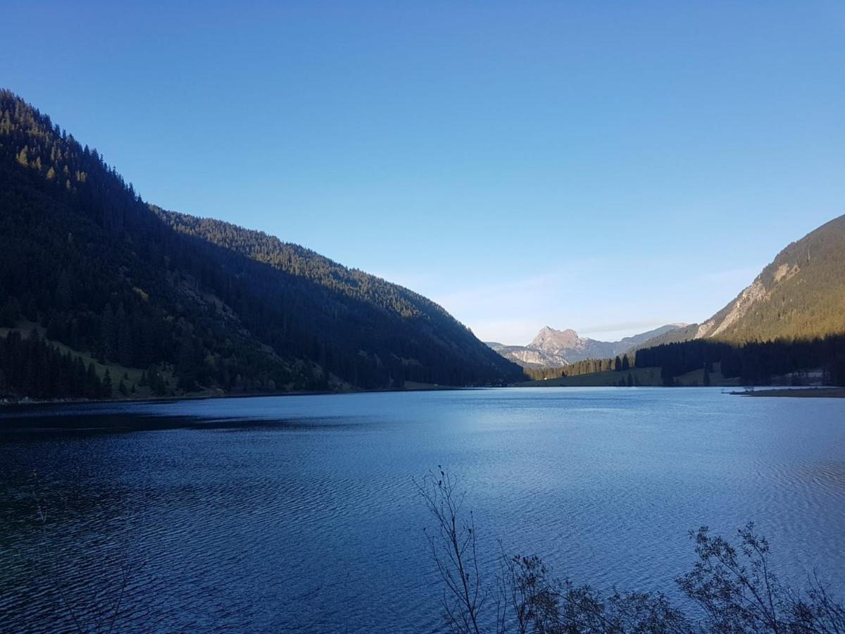 Neuschwanstein-Blick Apartment Fussen Bagian luar foto